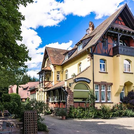Hotel Dammenmuehle Lahr  Bagian luar foto