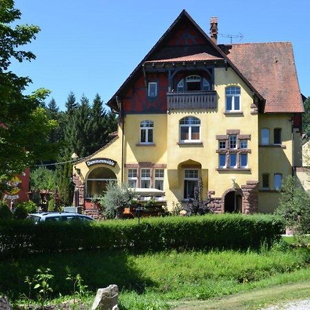 Hotel Dammenmuehle Lahr  Bagian luar foto